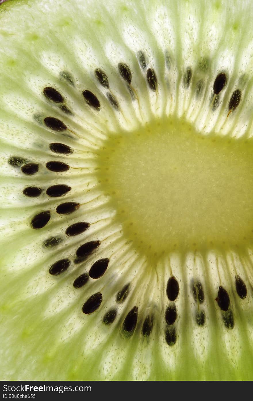 Kiwi closeup