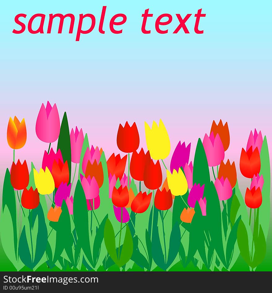 Flyer with color vector tulips. Flyer with color vector tulips