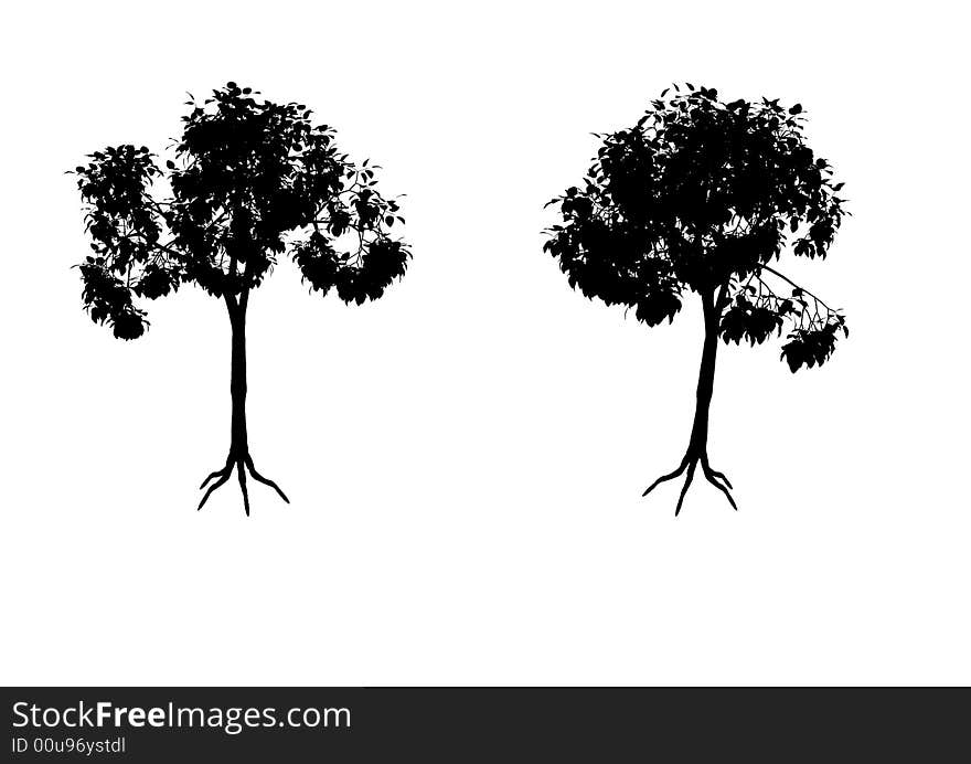 Tree Silhouettes