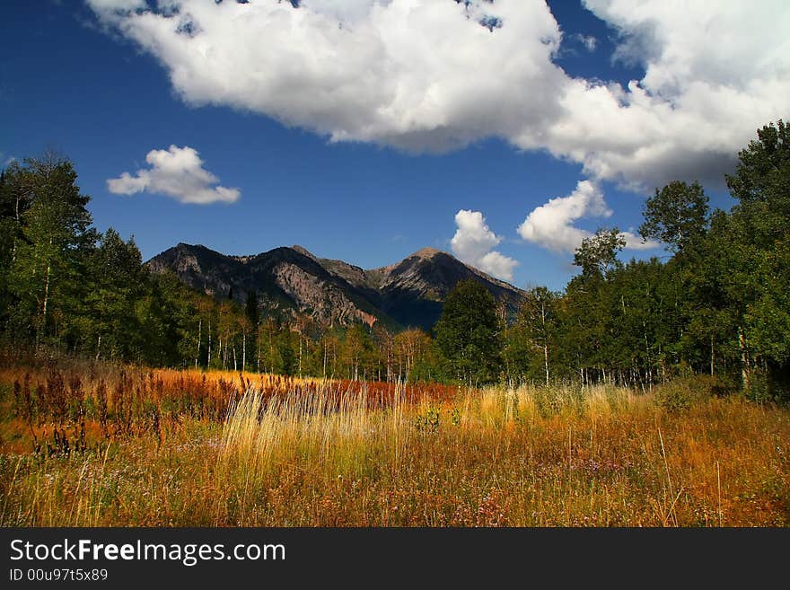 Mountain Flat in the summer showing all the colors with mountains in the background. Mountain Flat in the summer showing all the colors with mountains in the background