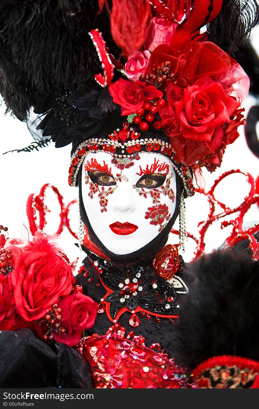 Red rose and black costume at the Venice Carnival. Red rose and black costume at the Venice Carnival