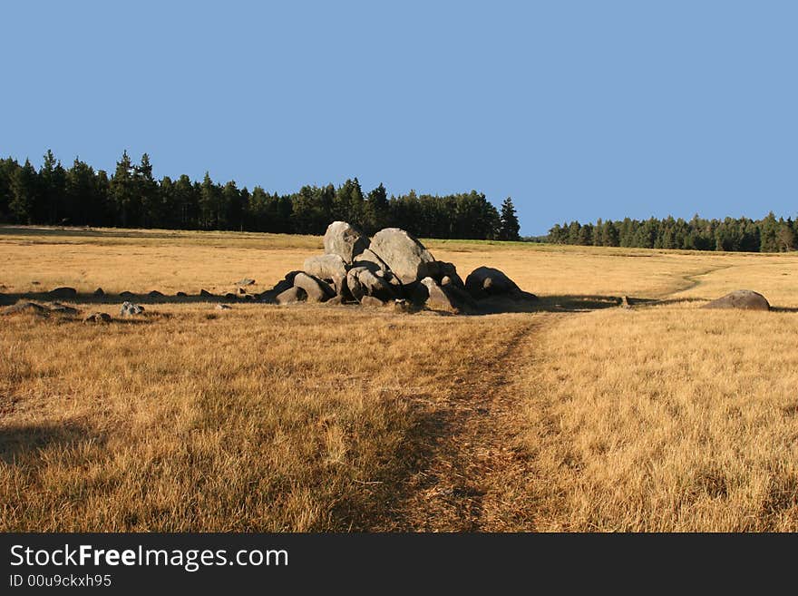 Mount Laguna Meadow