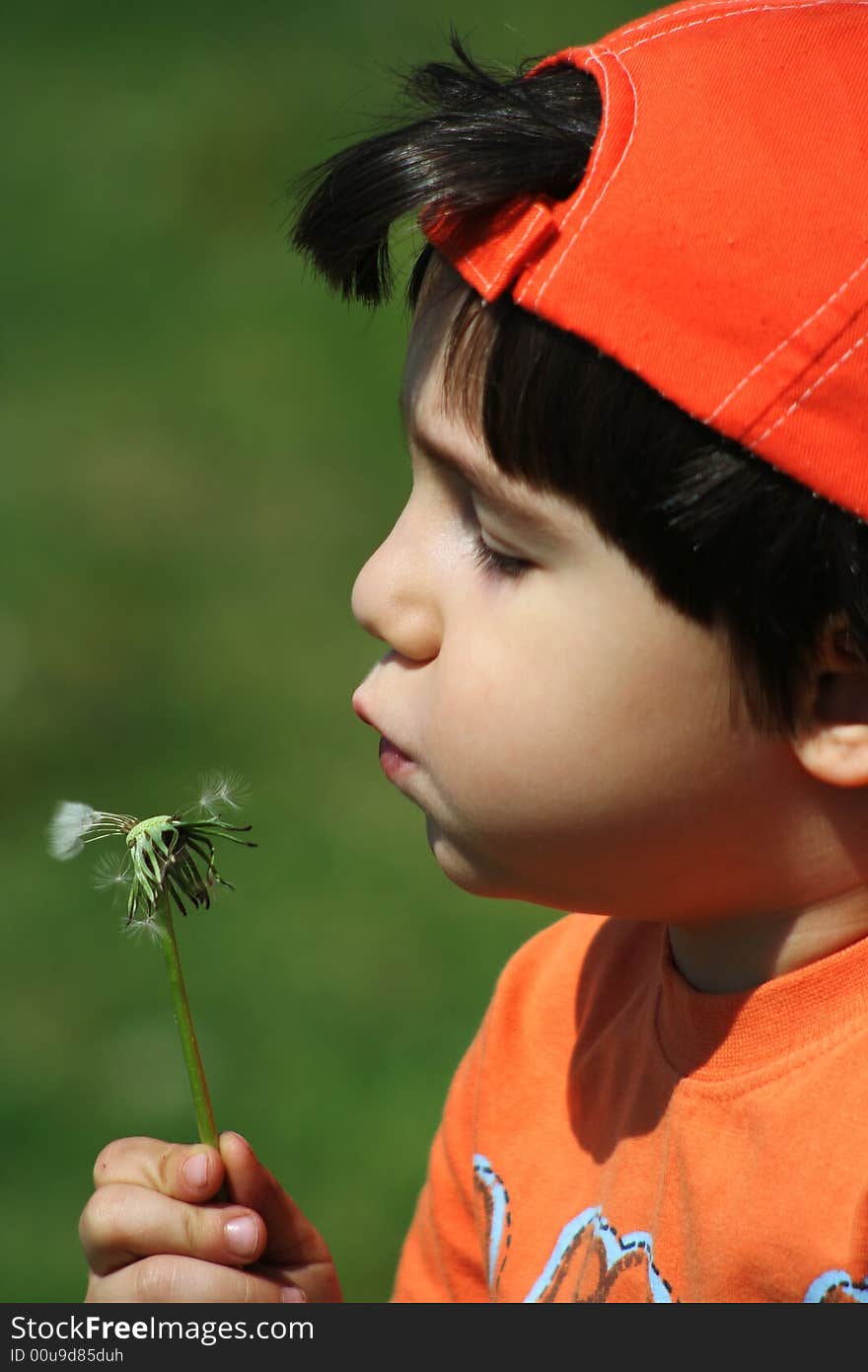 Young boy with orange hat blow dandelion