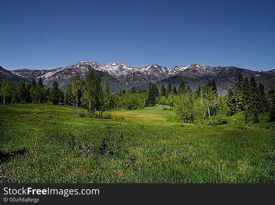 Mountain Flat in the spring showing all the colors with mountains in the background. Mountain Flat in the spring showing all the colors with mountains in the background