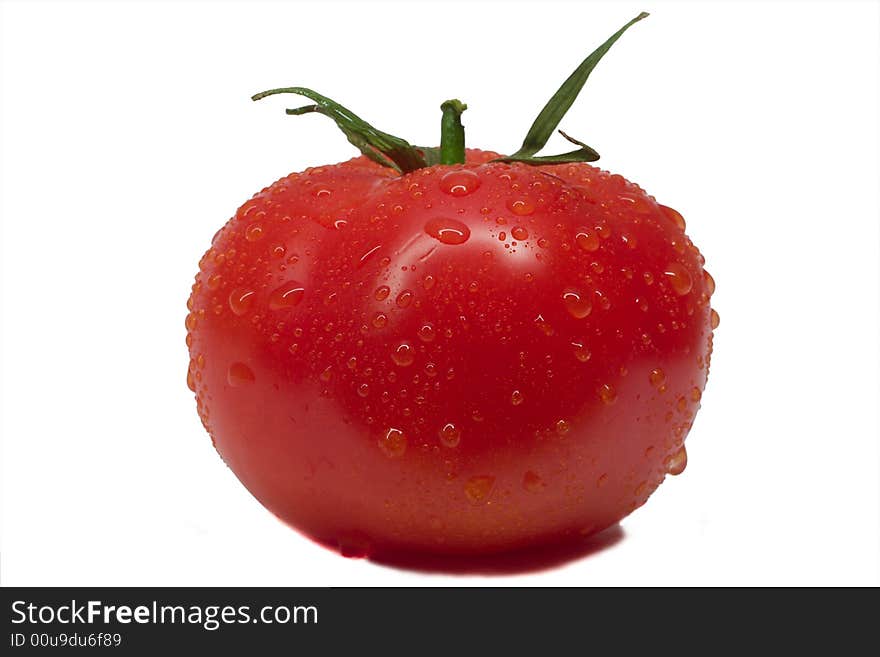 Close-up whole tomato with waterdrops, isolated on white