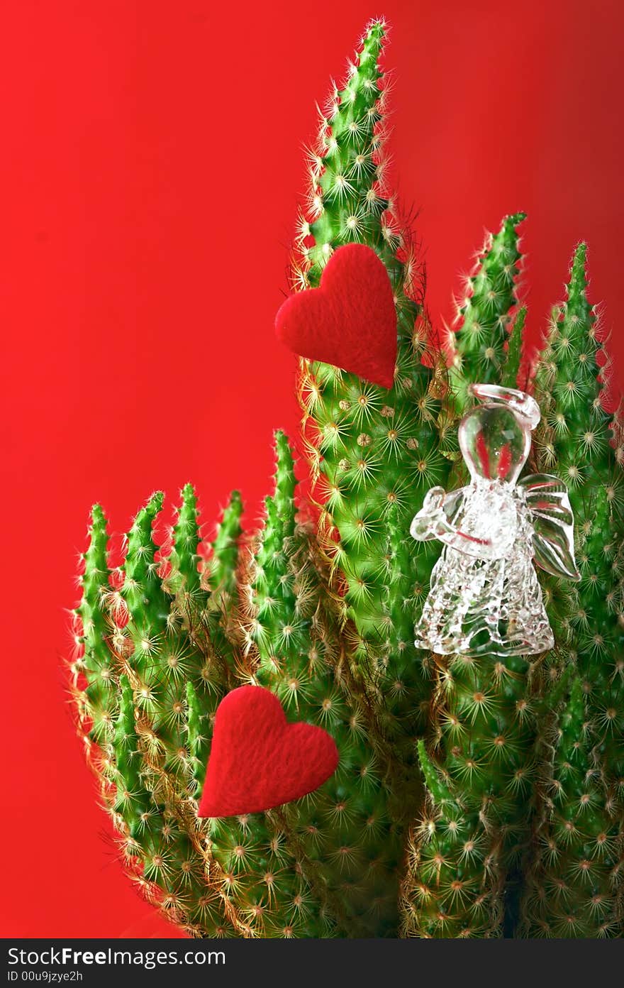 Green cactus with hearts and angel on red background. Green cactus with hearts and angel on red background