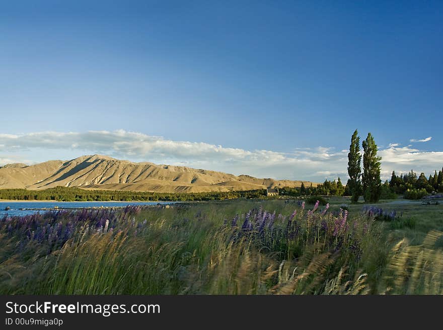 Trees and mountains