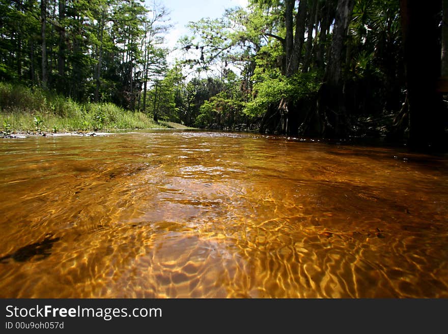 A back woods creek.  Fish Eating Creek. A back woods creek.  Fish Eating Creek