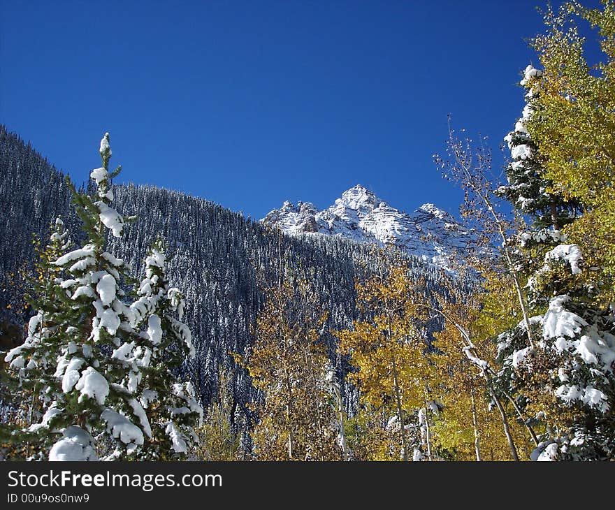 Colorado Blue