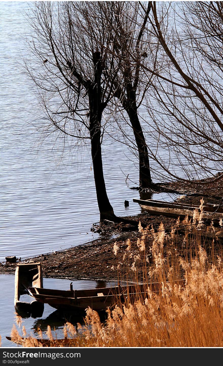 Trees ,reed,boat,makes the the shore of  Lake lugu more rich and beautiful. Trees ,reed,boat,makes the the shore of  Lake lugu more rich and beautiful.