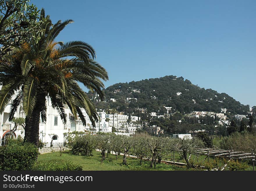 View of Italian Estates in Capri