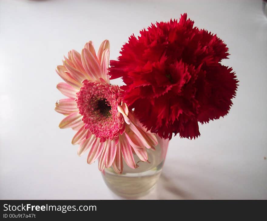 Two different flower in a single glass full of water. Two different flower in a single glass full of water.