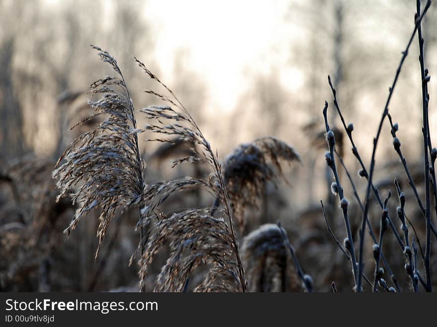 Spring. The beginning of new day. Spring. The beginning of new day.