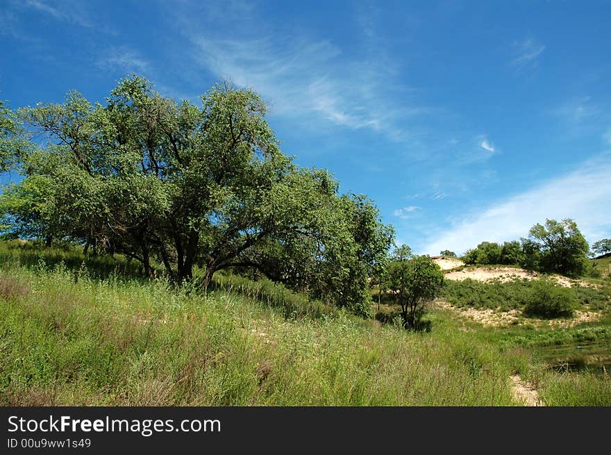 Grassland beautiful under the blue sky and white cloud