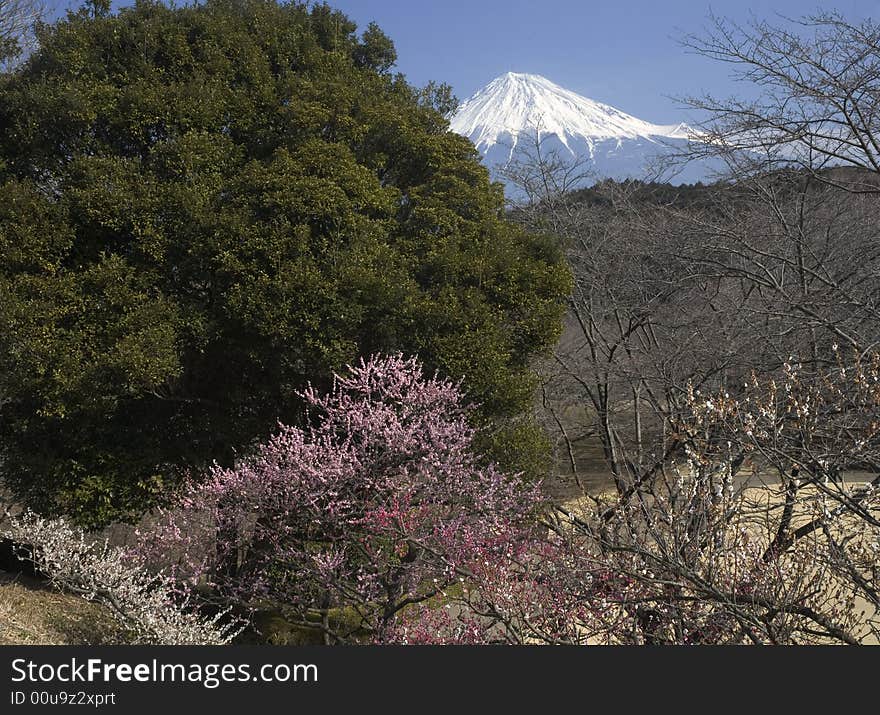 Mt,Fuji-dg-8113