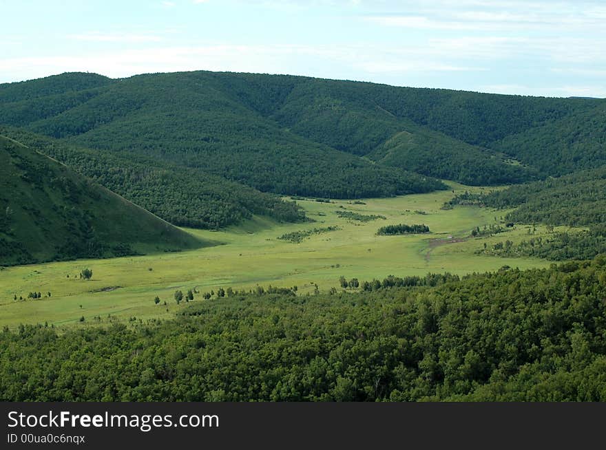 Grassland beautiful under the blue sky and white cloud