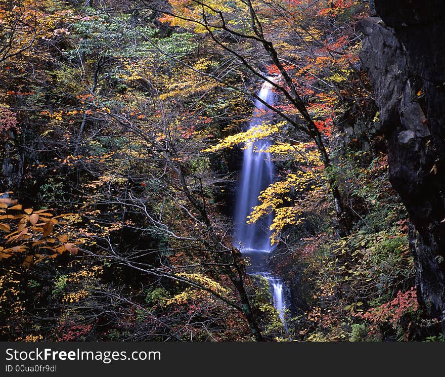 Japanese autumn scenery in mountain park-17. Japanese autumn scenery in mountain park-17