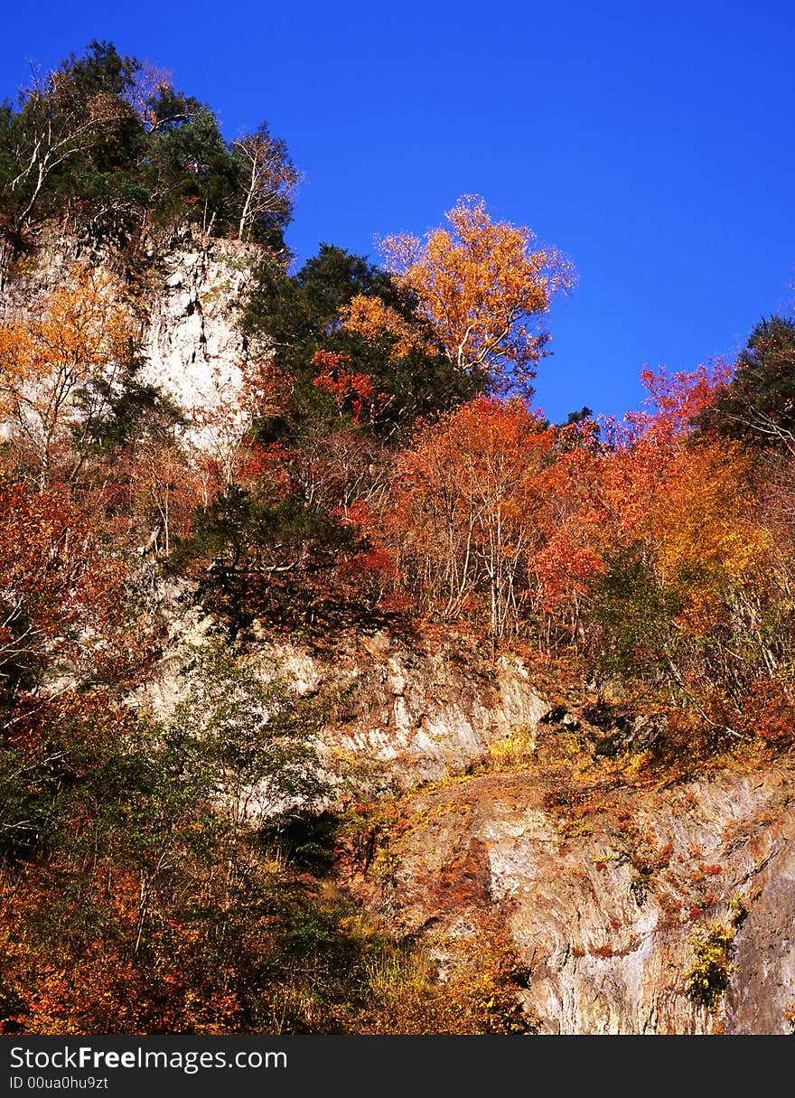 Japanese autumn scenery in mountain park-16. Japanese autumn scenery in mountain park-16