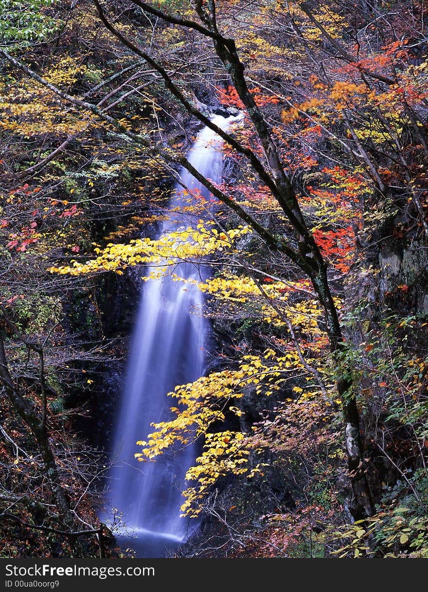 Japanese autumn scenery in mountain park-14. Japanese autumn scenery in mountain park-14