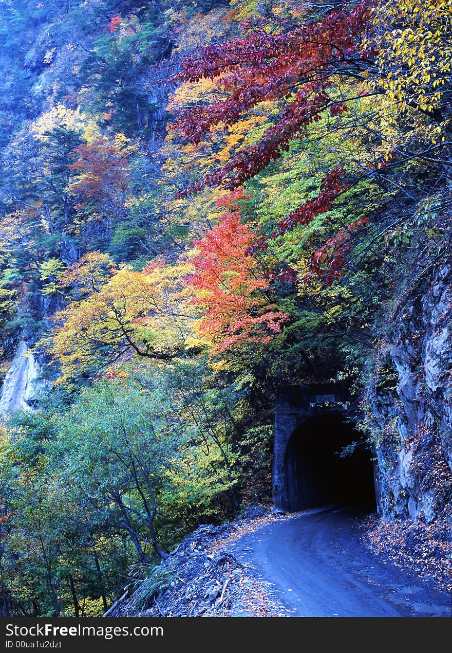 Japanese autumn scenery in mountain park-4. Japanese autumn scenery in mountain park-4