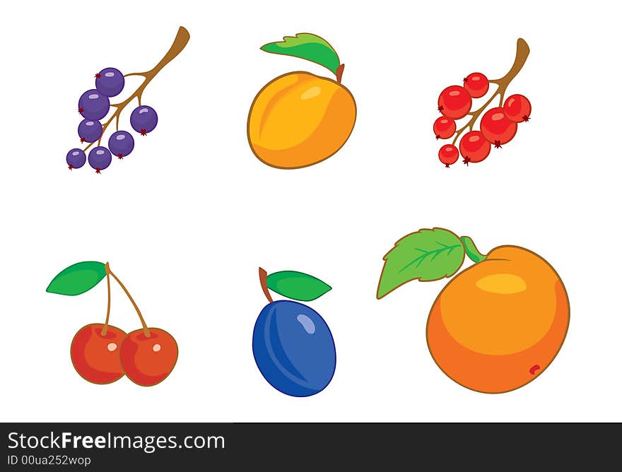 Summer berries icon set colorful. Summer berries icon set colorful