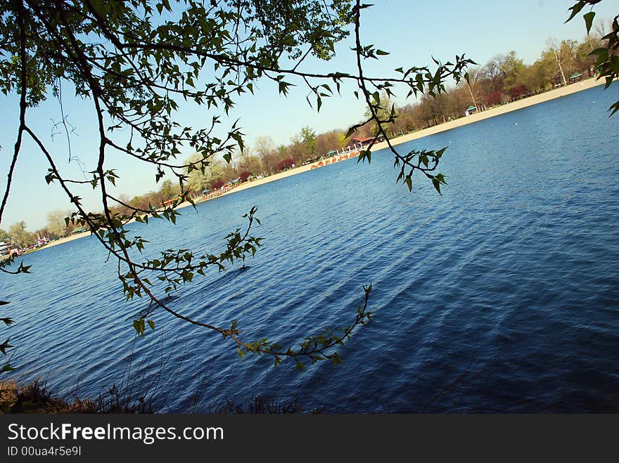 Blue water through hanging leaves. Blue water through hanging leaves