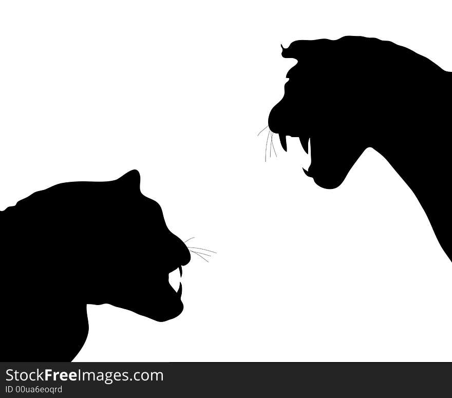 Silhouette of two leopards on white background. Silhouette of two leopards on white background