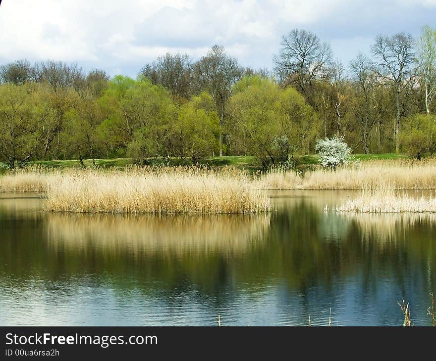 Lake and nature in the spring time