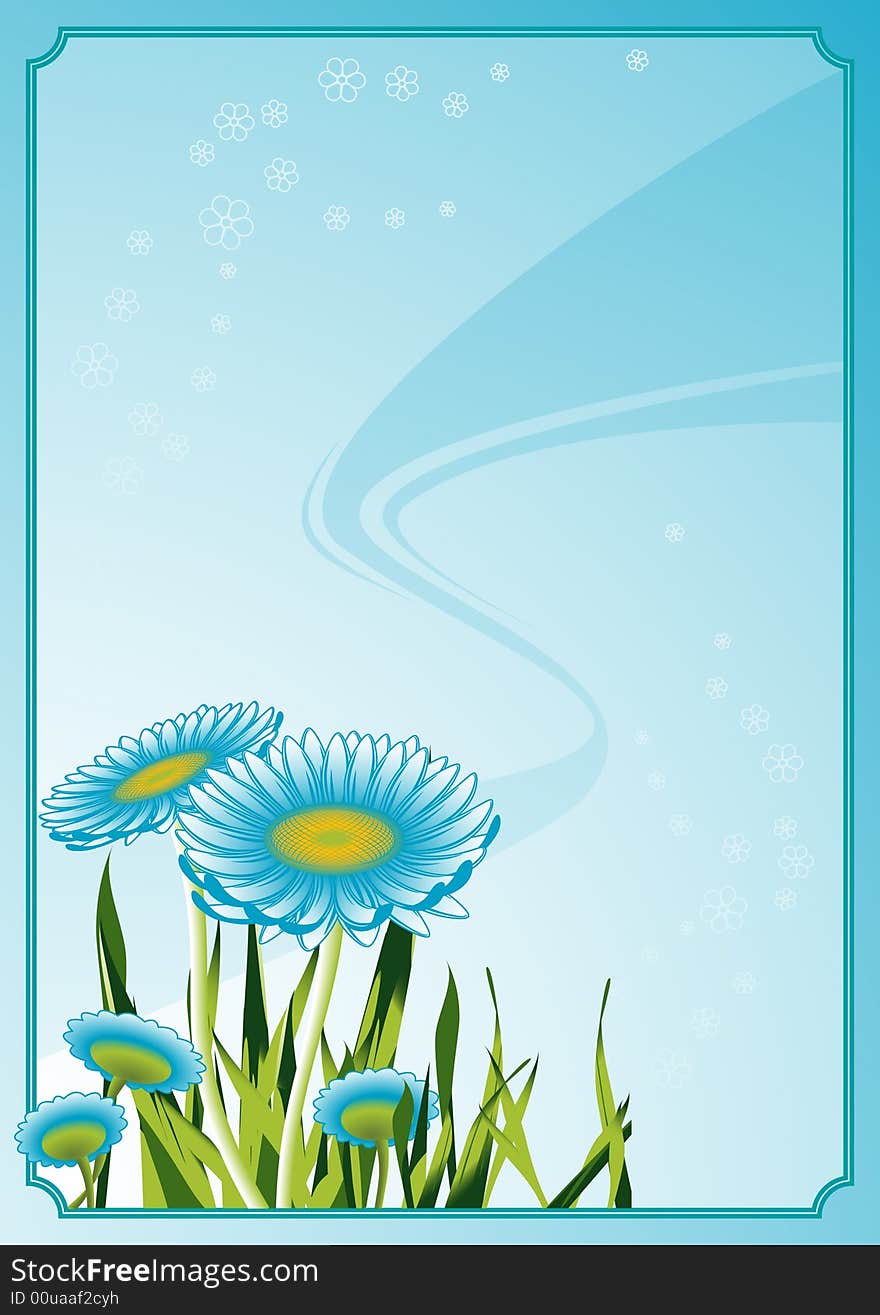 Camomile frame, vector illustration, AI file included. Camomile frame, vector illustration, AI file included