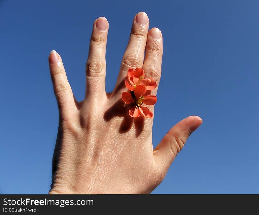 Flower between the fingers instead of ring. Flower between the fingers instead of ring