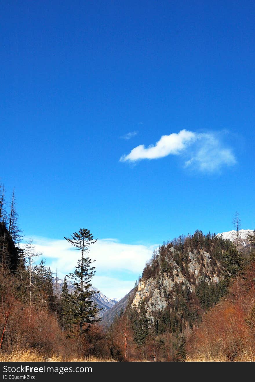 Jiuzhaigou in the winter scenery