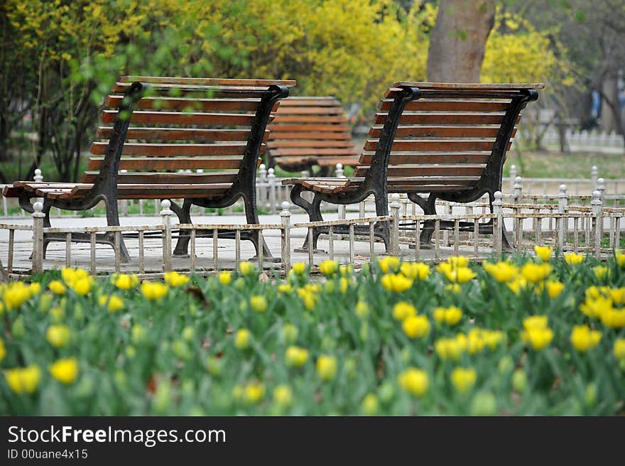 Two bench of park.Xian,China.