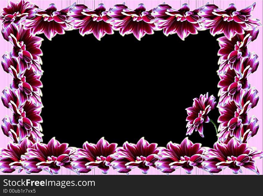 Frame With Flowers