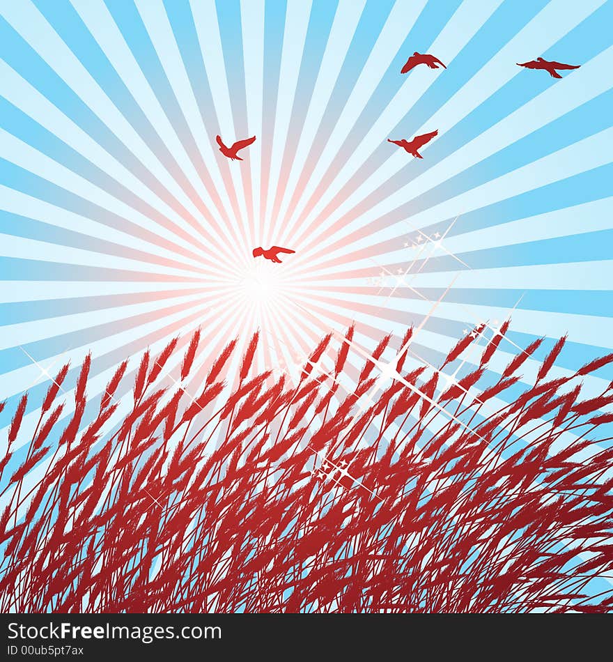 This image is a  illustration of shiny barley field and birds.