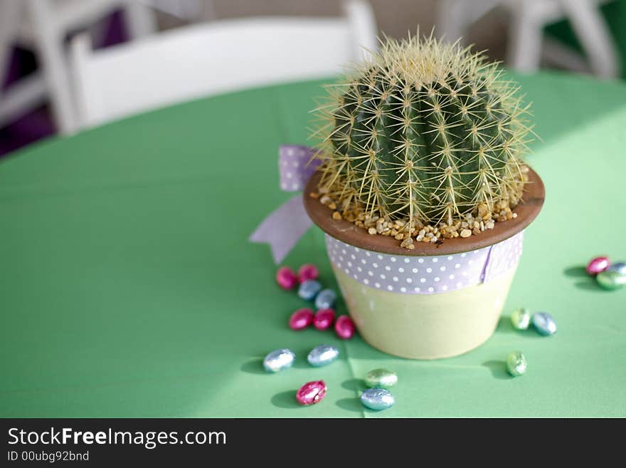 A cactus sitting in a flower pot on a green table. A cactus sitting in a flower pot on a green table.