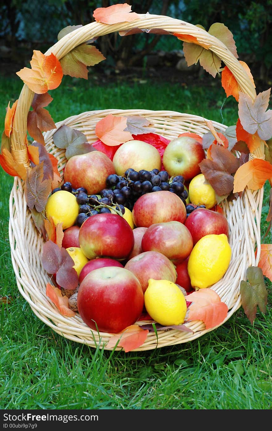 Basket with fruit