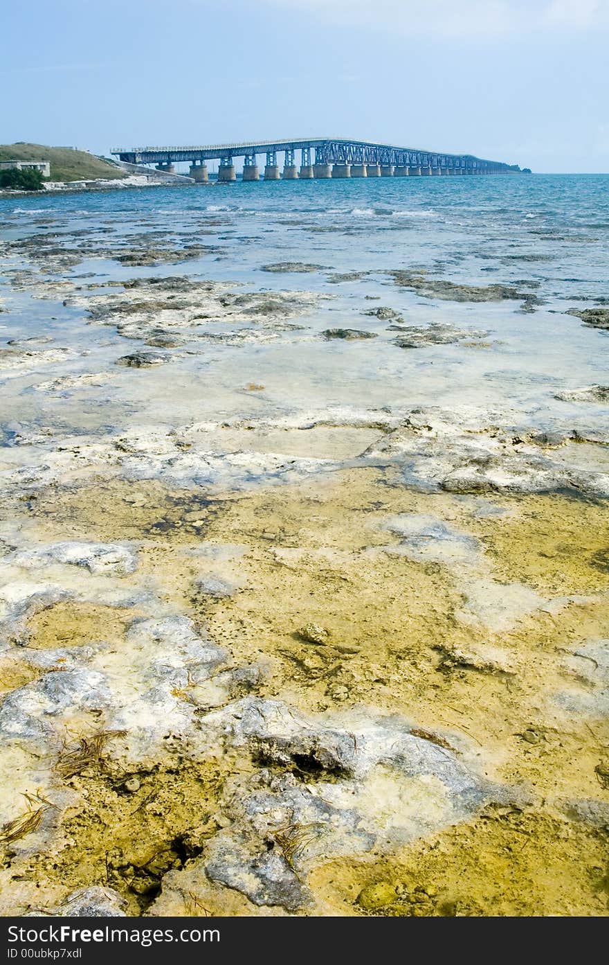 Bridge to florida keys with coral foreground. Bridge to florida keys with coral foreground