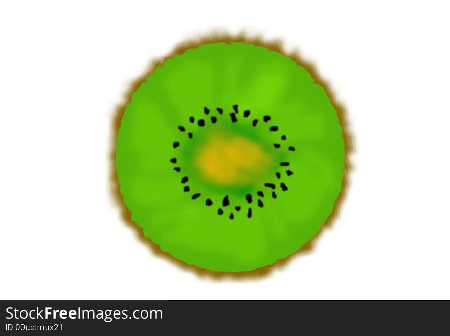 Illustration of the kiwi fruit