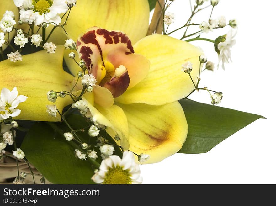 Bouquet Of Yellow Orchids