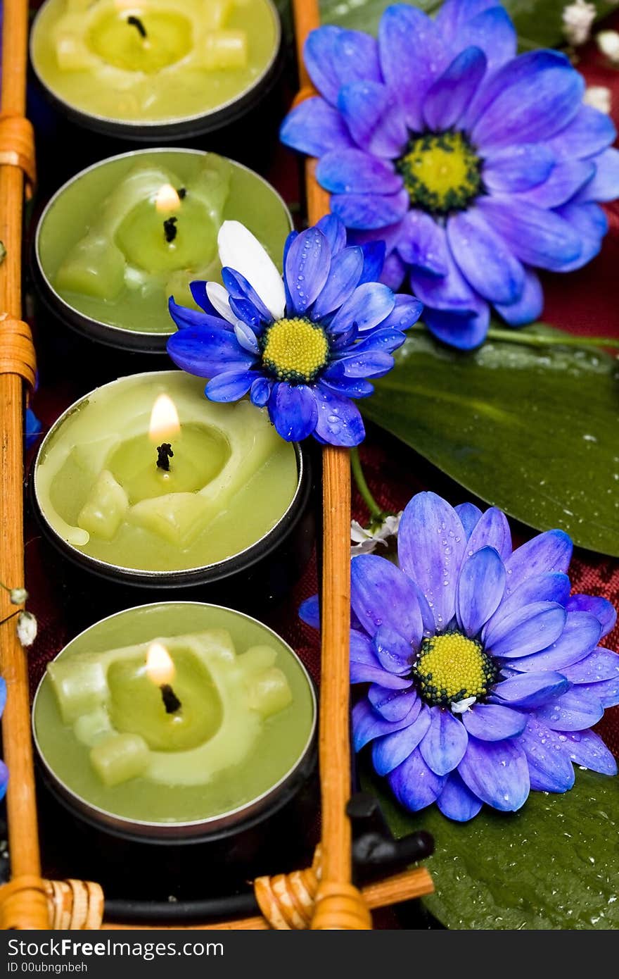 Row of green candles and blue flowers