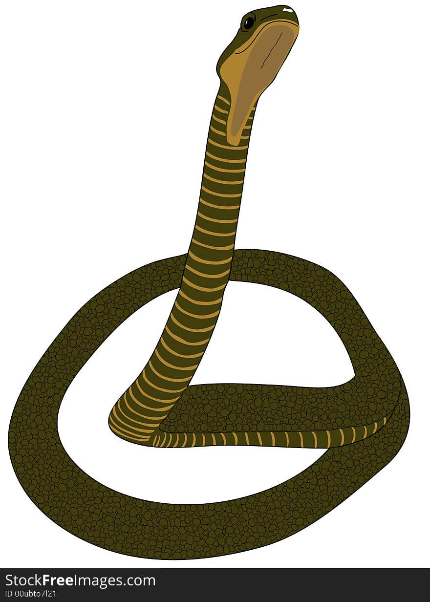 Snake