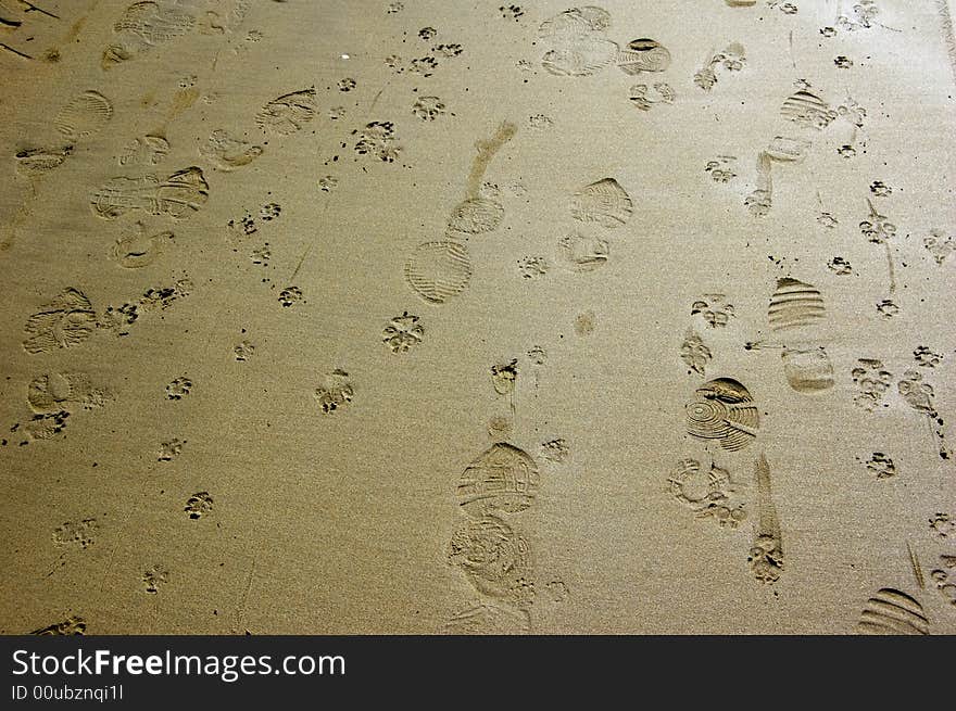 Assorted prints made on the wet sand. Assorted prints made on the wet sand