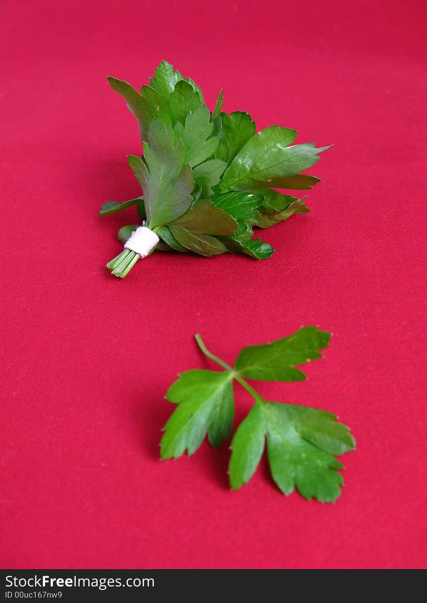 Bouquet of parsley tied with a white rope in red background.