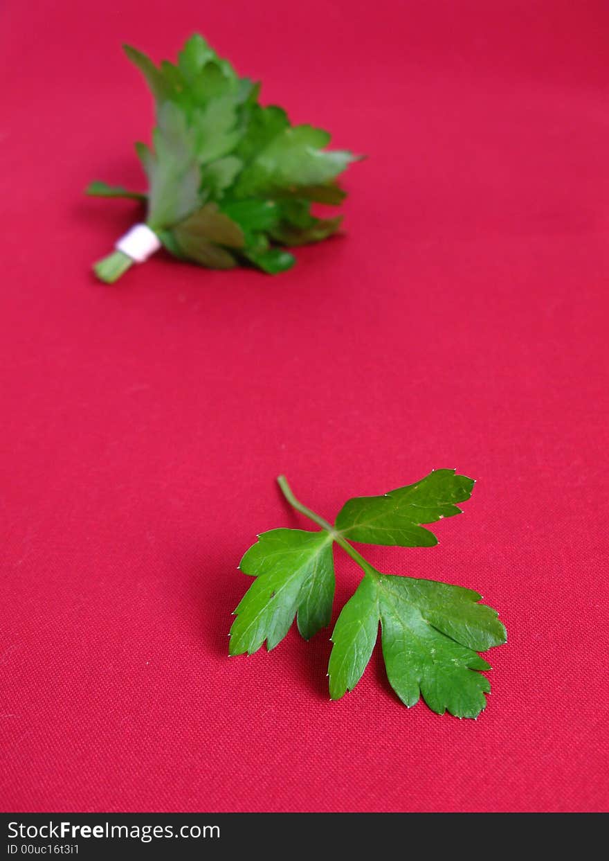 Bouquet of parsley tied with a white rope in red background.