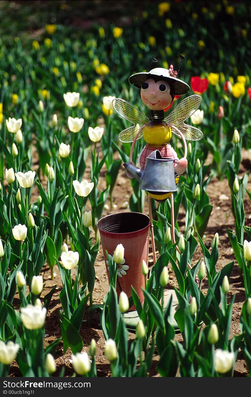 tulip field and a bee yardman