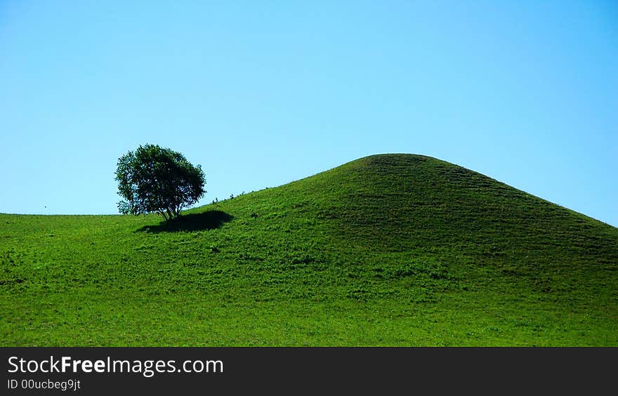 The Tree on the top of mountain