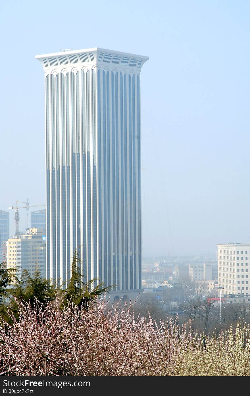 Skyscrapter In Dalian