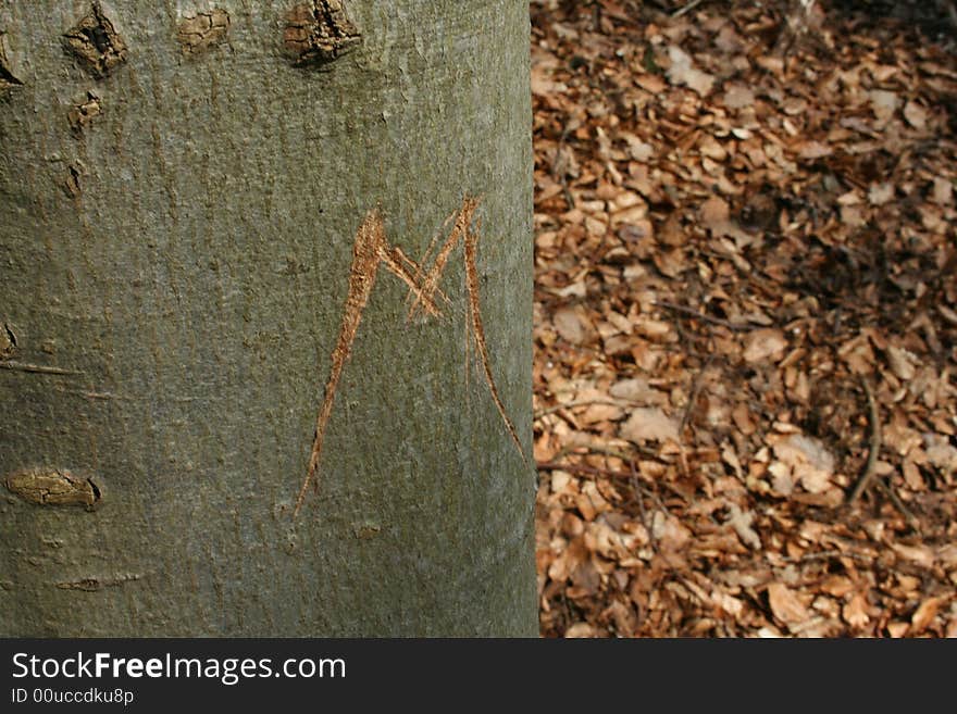 Initilal, Letter On A Tree