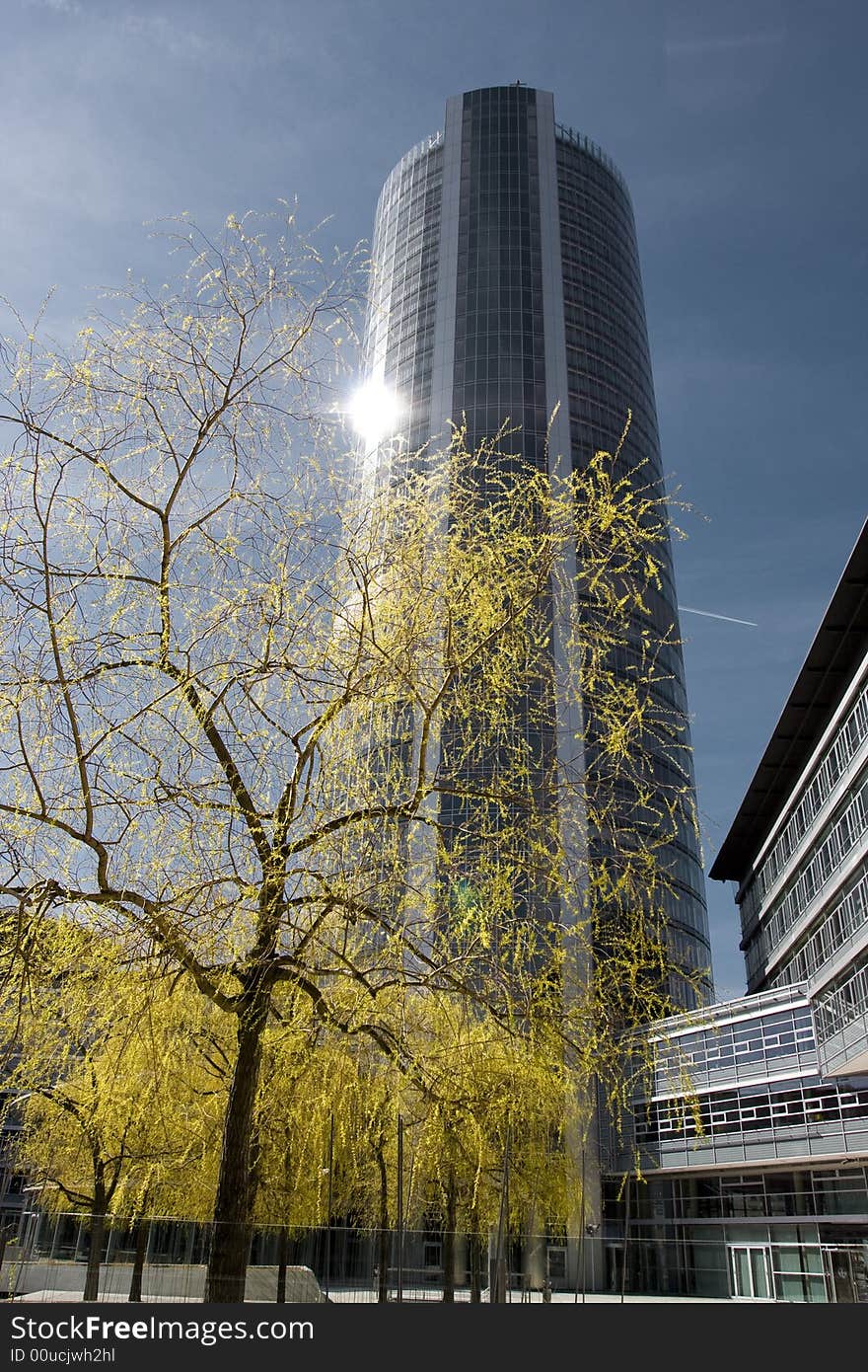 Round tower with yellow tree