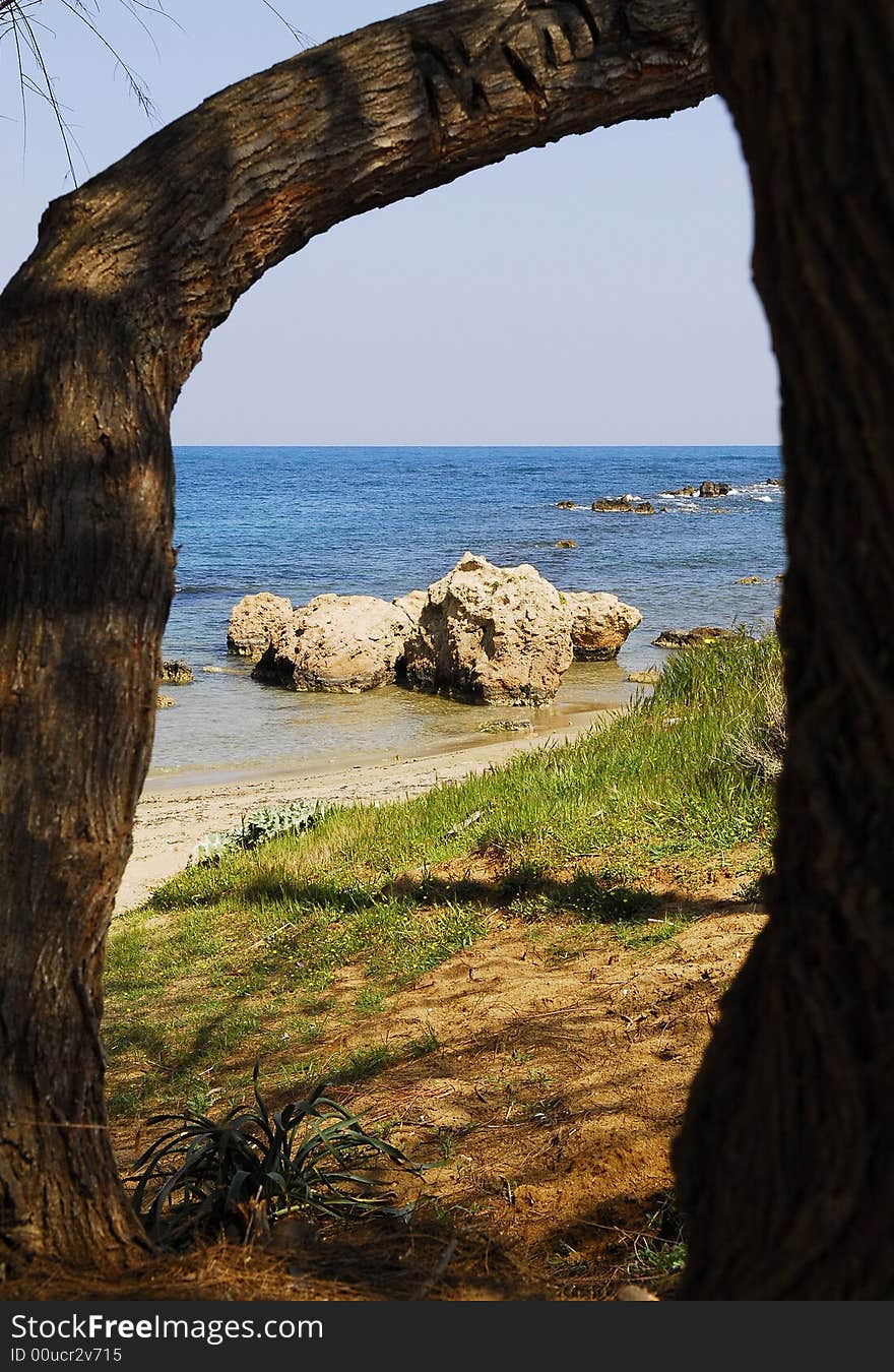 The stones on the beach seen through the tree trunks. The stones on the beach seen through the tree trunks